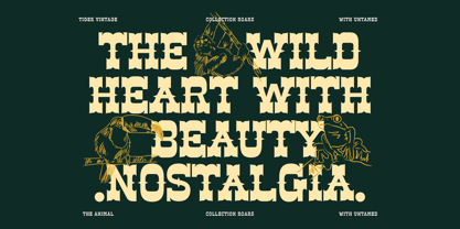 Ankara Trave Font Poster 7