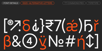 TT Commons™ Pro Font Poster 15