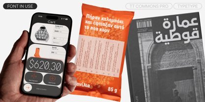 TT Commons™ Pro Font Poster 2