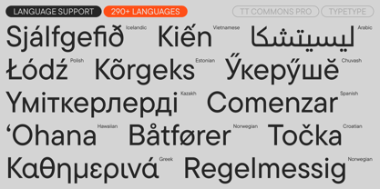 TT Commons™ Pro Font Poster 7