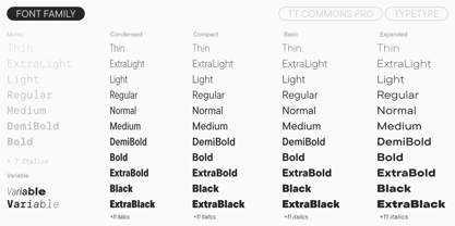 TT Commons™ Pro Font Poster 4