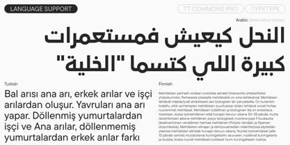 TT Commons™ Pro Font Poster 8