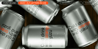 TT Commons™ Pro Font Poster 13