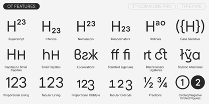 TT Commons™ Pro Font Poster 12
