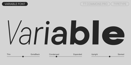 TT Commons™ Pro Font Poster 5