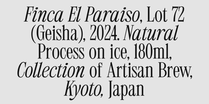 403 Mesapholic Font Poster 2