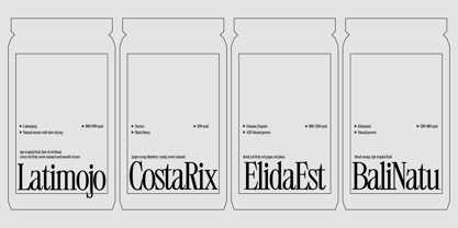 403 Mesapholic Font Poster 7