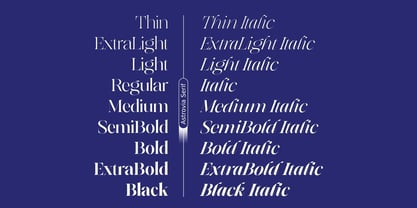Astrovia Serif Font Poster 13