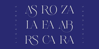 Astrovia Serif Font Poster 5
