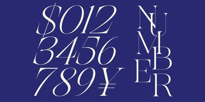 Astrovia Serif Font Poster 14