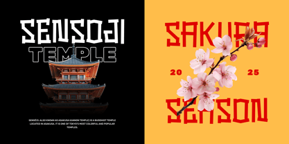 Sleepy Ninja Font Poster 3