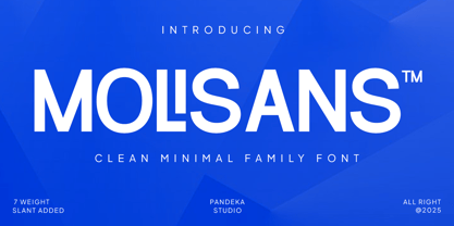 Molisans Font Poster 1