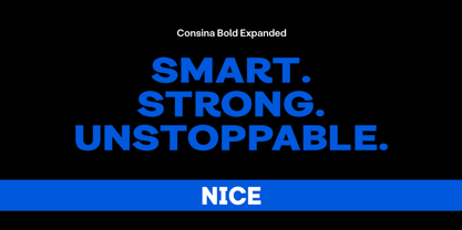 Consina Font Poster 7
