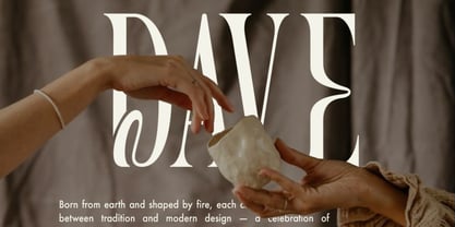 Rawlence Avenue Font Poster 6