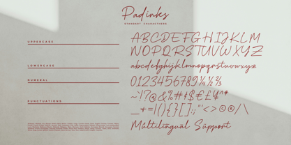 Padinks Font Poster 15