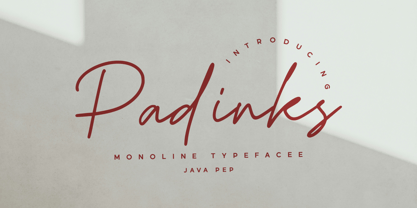 Padinks Font Poster 1