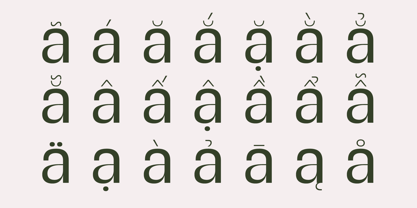 SG Verace Font Poster 4