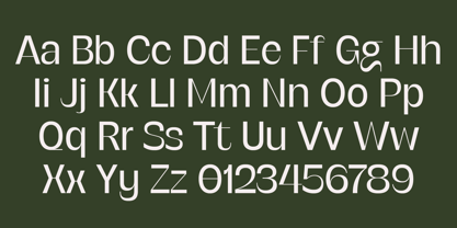 SG Verace Font Poster 3