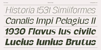 SG Verace Font Poster 6