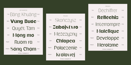 SG Verace Font Poster 9