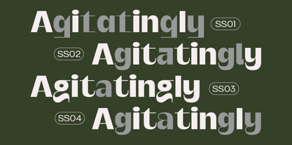 SG Verace Font Poster 7