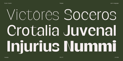 SG Verace Font Poster 5