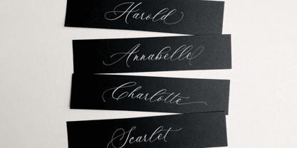 Romantic Calligraphy Font Poster 10