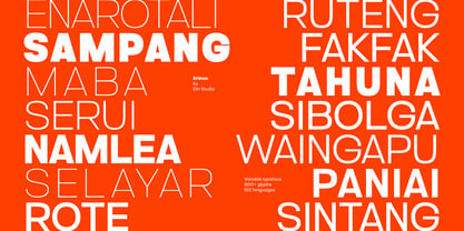 Ertinas Font Poster 3
