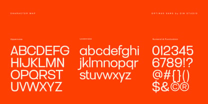 Ertinas Font Poster 14