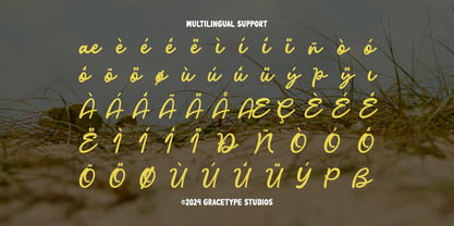 Recordo Cinema Font Poster 11