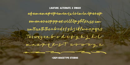Recordo Cinema Font Poster 12