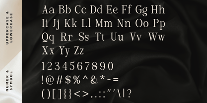 Luxeline Font Poster 10