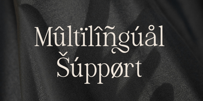 Luxeline Font Poster 11