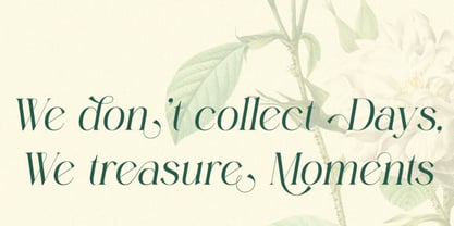 Pallcer Font Poster 12