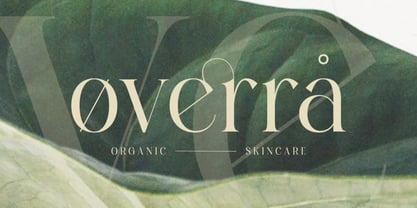 Pallcer Font Poster 2