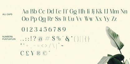 Pallcer Font Poster 8
