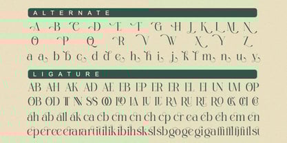 Pallcer Font Poster 7