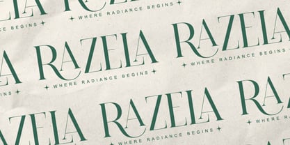 Pallcer Font Poster 5