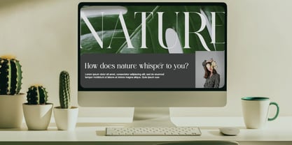 Pallcer Font Poster 11