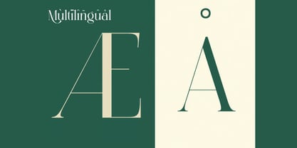 Pallcer Font Poster 3