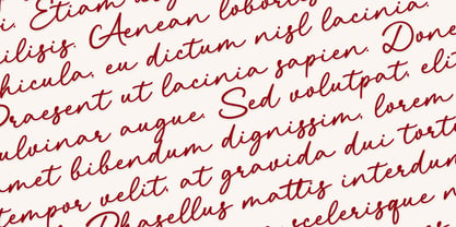 Bellama Signature Font Poster 2