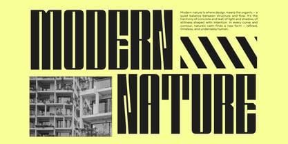 Solene Display Font Poster 3