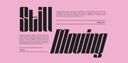 Solene Display Font Poster 13
