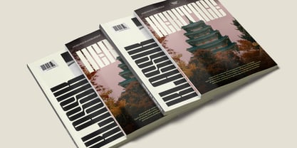 Solene Display Font Poster 4