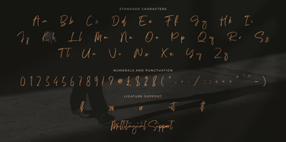 Rosther Golden Font Poster 10