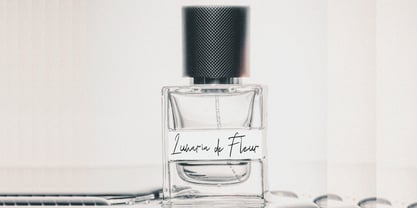 Densparta Signature Font Poster 8