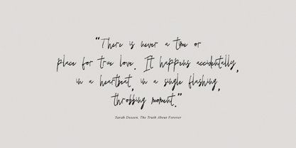 Densparta Signature Font Poster 4