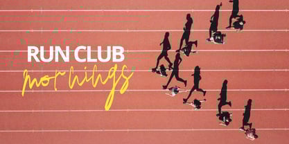 Densparta Signature Font Poster 7