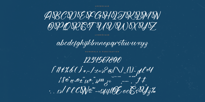 Michael Violena Font Poster 7