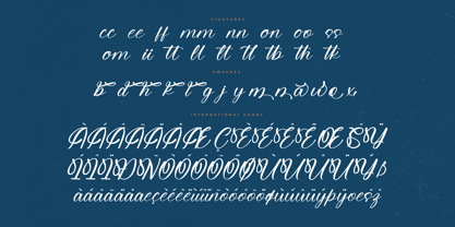 Michael Violena Font Poster 8